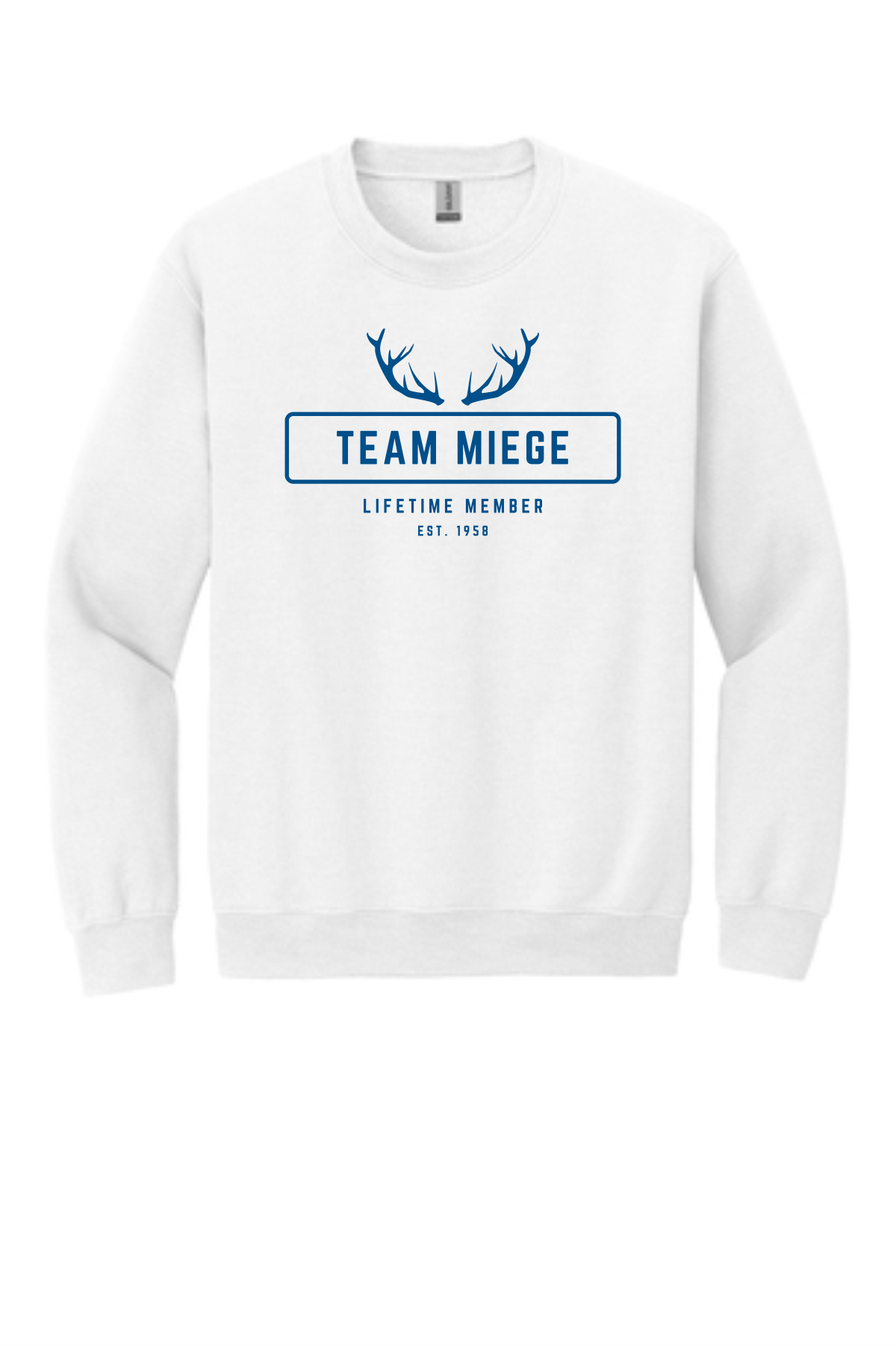 Team Miege