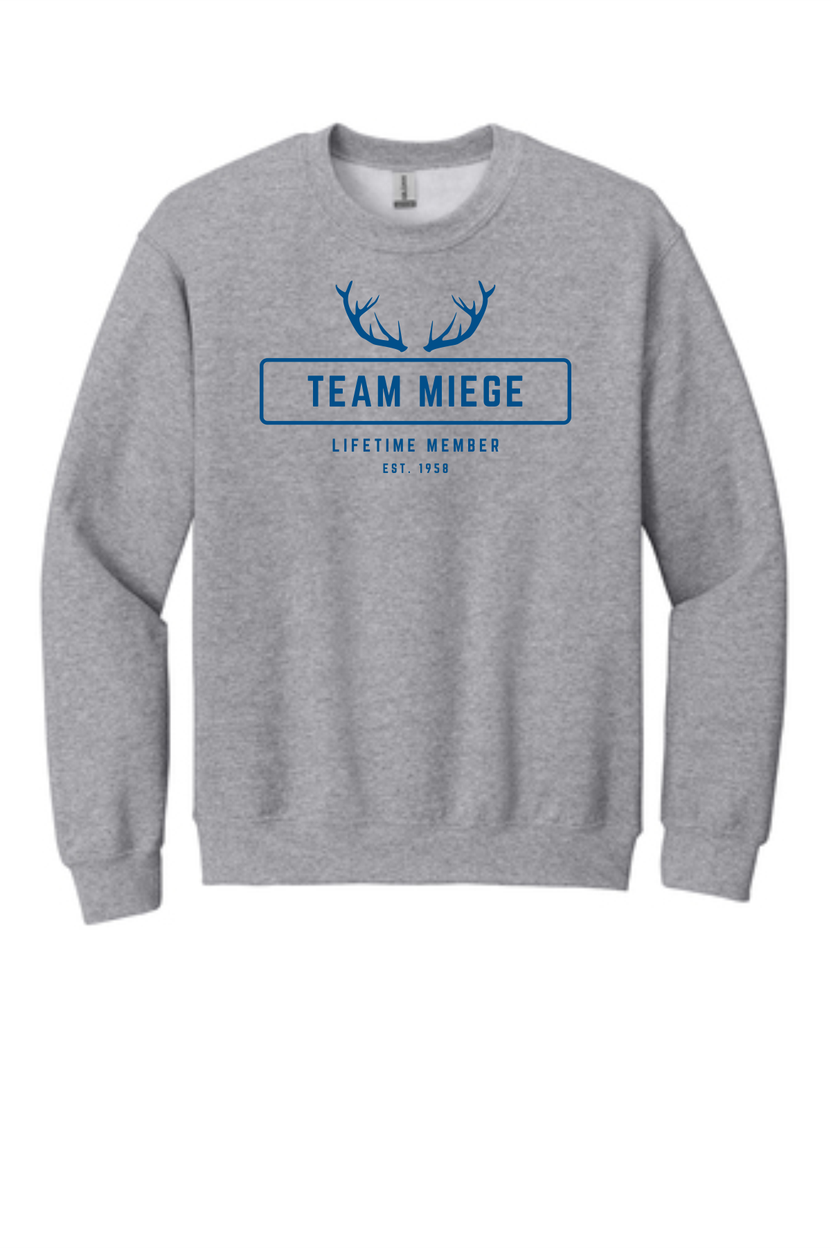 Team Miege